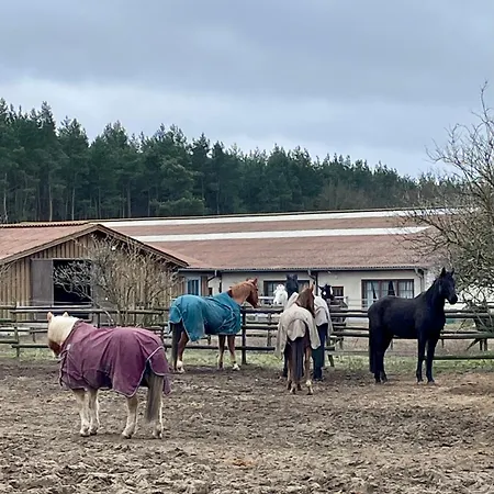 Pferdehof Birkholz